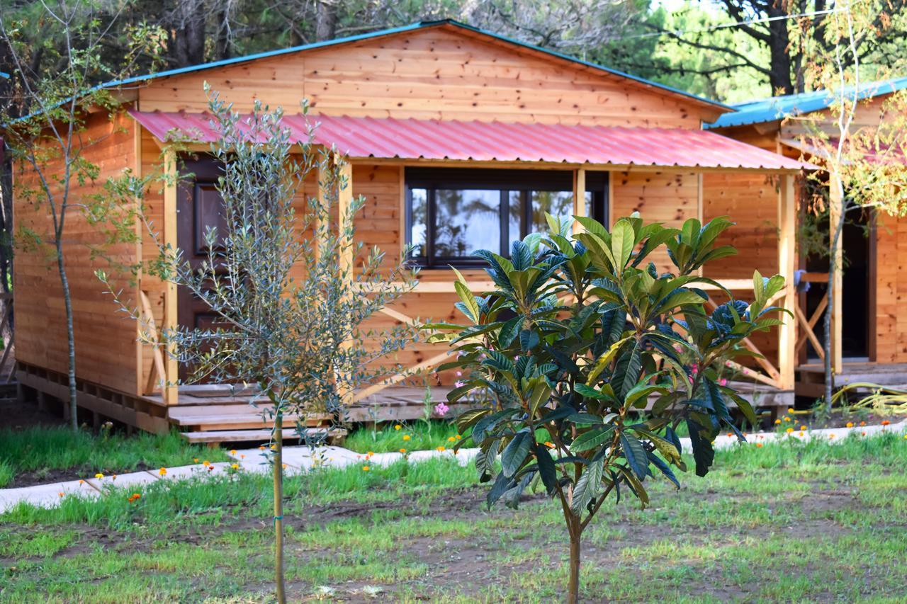 Villa Saranda Beach Bungalow Ulcinj Exterior foto